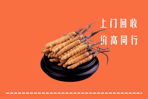 高价求购：广信区回收散虫草