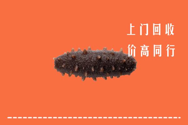 广信区回收海参