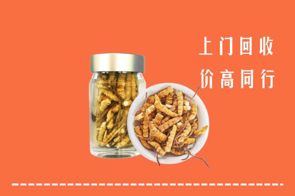 广信区回收冬虫夏草