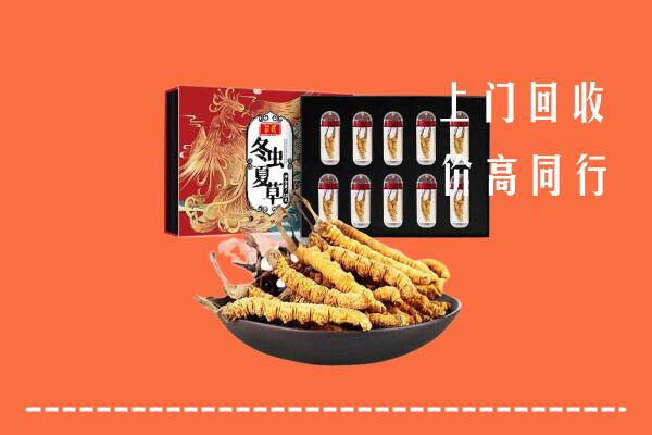 广信区回收虫草